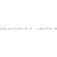 Donkey anti Chicken IgY (H + L) (Alexa Fluor 594)